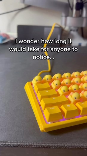 EVERYONE WILL NOTICE THE QUACKS 🤣 ⁣ .⁣ .⁣ .⁣ .⁣ .⁣ #Artisan #Artisankeycap #Artisankeycaps #Cherrymx #Customkeyboard #Customkeycap #Customkeycaps #Gamer #Gaming #Geekhack #Keyboards #Keycap #Keycaps #Mechanicalkeyboards #Mechkb #Mechkeyboard #Mechkeys #Pcgamer #Pcsetup #Thatclickyfeeling #funny #quack #duckeys #duck | Duckeys