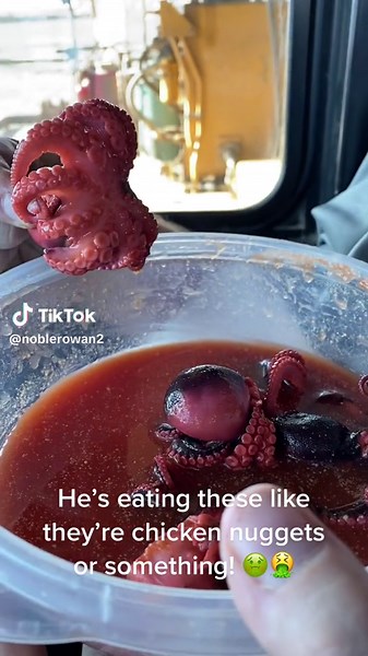 Eating Disgusting Octopus like Chicken Nuggets?!