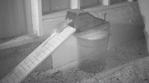 🚨 It’s Official: Pre-Orders Are LIVE! 🚨 The wait is over. The Vulcan Multi-Rodent Catcher, the game-changing, patent-pending rodent trap, is here! 🪤🔥 👉 And here’s the kicker: Shawn Woods, the rodent-trapping legend, just posted an exclusive preview of our trap in action. 🐀 See why he says this is a game-changer for rodent control! 💥 For a limited time, get 40% off your pre-order—but only for the first 300 traps or until Cyber Monday! After that, it’s gone forever. 🎯 Say goodbye to single