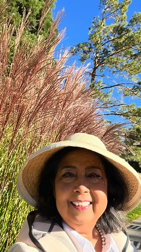 19 reactions | Sometimes we all like to be alone and I definitely...