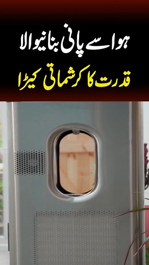 595K views · 15K reactions | ہوا سے پانی بنانے والا قدرت کا کرشماتی کیڑا #insect #air #water #explainthis | Explain This | Facebook