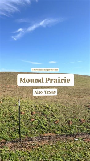 Mound Prairie: A Prehistoric Indian Site in Texas