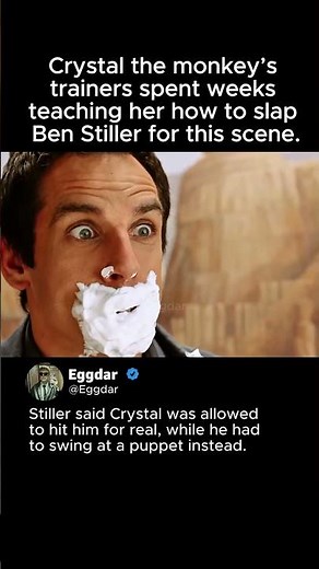 Crystal the Monkey Trained for Weeks Just to Slap Ben Stiller 😂 | Night at the Museum (2006)