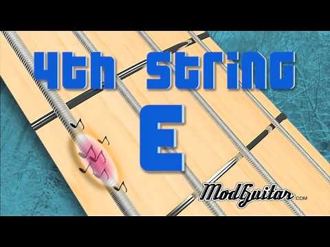 4 String Bass Standard Tuning