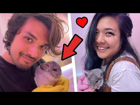 I Just Found the CUTEST Animal Café in Japan