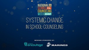 Systemic Change in School Counseling