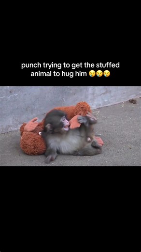 Teleporting to Hug the Stuffed Animal