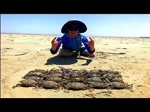 Blue Swimmer Crabbing | Catch and Cook | Thompson Beach | South Australia Fishing - Ep 10 - Pt 3 / 3