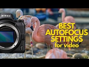 BEST Nikon Z6 Autofocus Settings-Z6II/Z7/Z7II