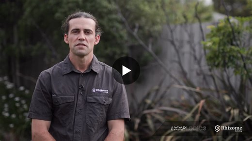 Loop Logics | Client Testimonial: Rhizome Building | Loop Logics