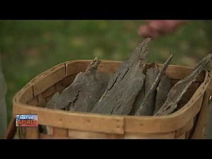 Native Spirit: Importance of hickory