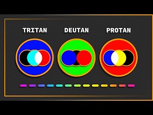 How to Simulate Color Blindness (CVD)