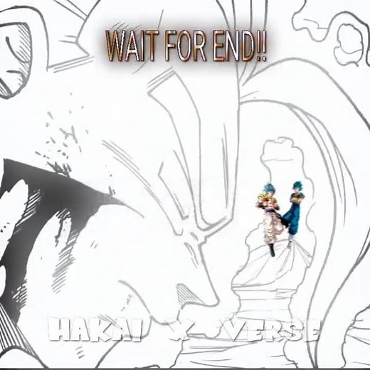 The Ultimate Fusion Battle: Vegito VS Gogeta 👑