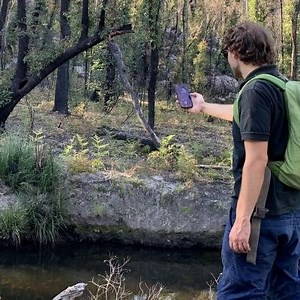 Post-fire recovery of threatened ecological communities | Centre for Ecosystem Science - UNSW Sydney