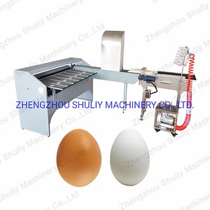 [Hot Item] Chicken Egg Sorting Machine Egg Sorting Machine From Elva