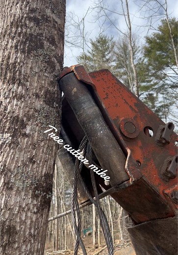 treecuttermike on TikTok