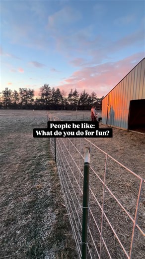 Bre Ryan on Instagram: "Chicken math makes sense if you don’t think about it. 🥚 What do you do for fun?"