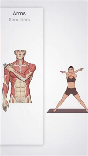 Stretch Arms, Open Hips & Relax Legs 🔥 Full Body Mobility (No Movement)