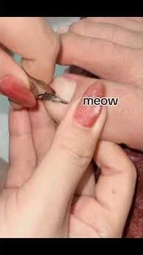 FOLLOW 👍🏻❤️👍🏻