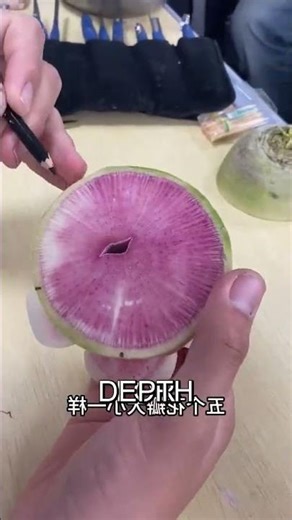 🤯 Radish to Rose: Unbelievable Art!