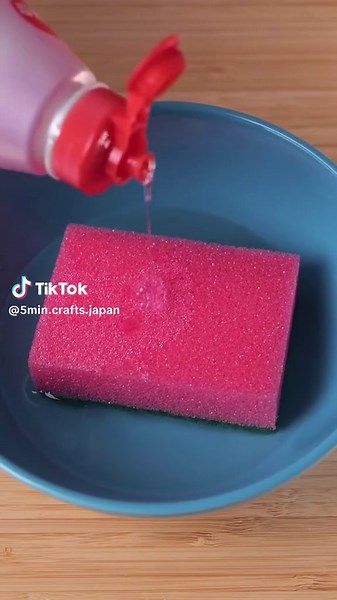 ５分でできる DIY sur TikTok