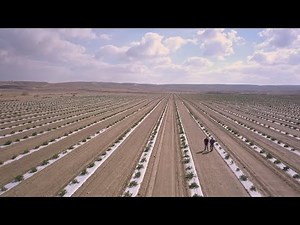 Agriculture in the Negev: Today’s Desert Pioneers (5-minute clip)