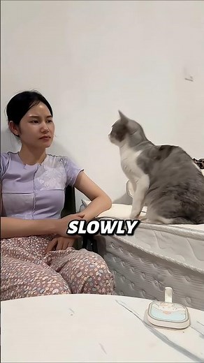 This Deaf Girl Taught Her Cat Sign Language… Unbelievable Bond 🐱😳