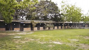 ¡Un clic y ya estás, humano! Entra ya a https://clubwuf.pe/, afíliate a uno de nuestros planes y así de fácil estarás ayudando a cientos de perros sin hogar a conseguir un techo y comida. ¡Únete hoy! | WUF