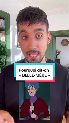 Mon premier livre sort le 30 septembre ! « La curieuse histoire des mots » fait dialoguer mes textes avec les dessins du facétieux @josephfalzon, et propose un récit haut en couleur sur les mots de la langue française et leur étymologie. Publié chez @casterman_bd, il sera en librairie dans 3 semaines, mais est déjà disponible en pré-commande sur internet. J’ai hâte et j’espère qu’il vous plaira ! 😃 #etymologie #languefrancaise #etymocurieux