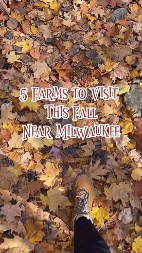 5 Farms to visit this Fall near Milwaukee 🍁 🎃 🍎 Save & send to your farm loving friends 🫶 What’s your favorite farm to visit in the fall? 🚜 Jerry Smith - Kenosha, WI Activities include pumpkin picking, Giant Bounce Pad, 6 Acre Crazy Corn Maze, Petting Zoo, Hayrides, Tire Mountain, Climbing Wall of Tires, Giant Tube Play Area, Tube Swing, Wooden Tractor Play Structure, 2 Rainbow Play Sets with sand piles, Big Sand Toy Hill, Basketball Hoop. Concessions are also available. Admission/ activity