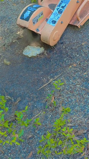 Baby Stump Grinder Fits Through ANY Gate!