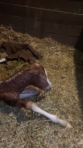 Meredith Van Benthuysen on Reels