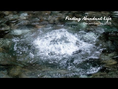 Finding Abundant Life // Traditional Worship // Sunday, December 14, 2025