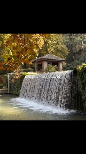 Mera pyar Tera pyar ✨❤ || Lyrics song || #lyrics #love #shorts #song