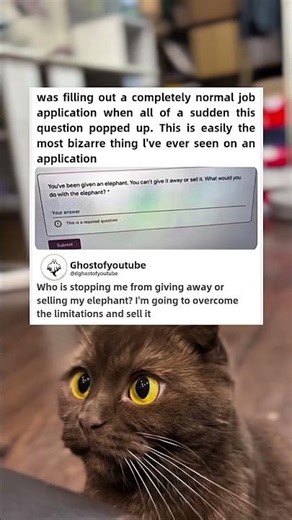 was filling out a completely normal job aplication