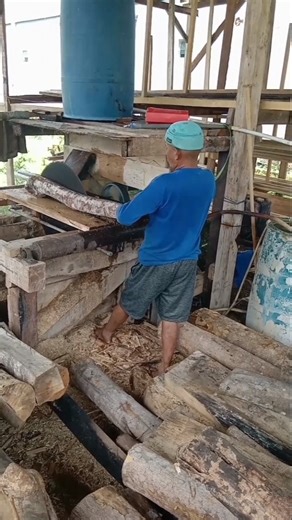 proses pengolahan kayu log dan semi log #bengkelkayu #wood