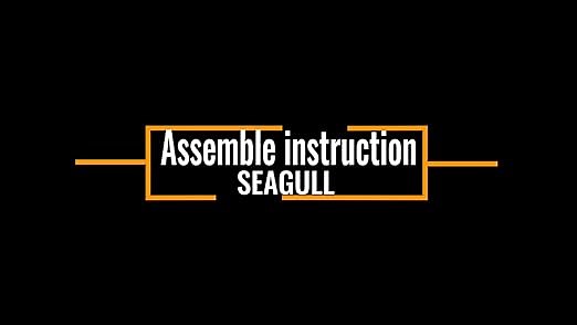 ECOTRIC -- How to Assemble the SEAGULL Bike?