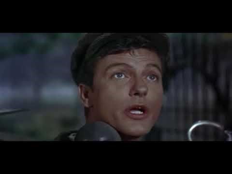 Mary Poppins Bert the one man band