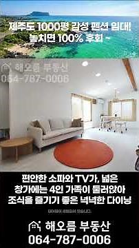 [제주도 임대 연세] 돈 쓸어 담는 1000평 독채 7동 감성숙소! 몸만 오세요~