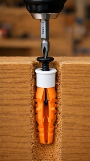 screw wall plug 7 #wood