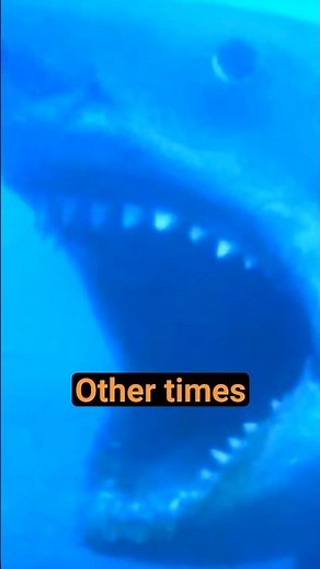 The Shark in Jaws Was Broken—And That Made It a Masterpiece