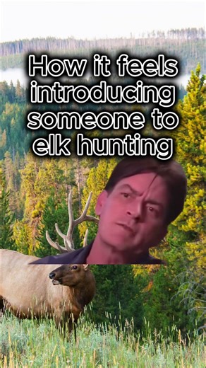 First time elk hunting, and suddenly their whole life has a new priority.