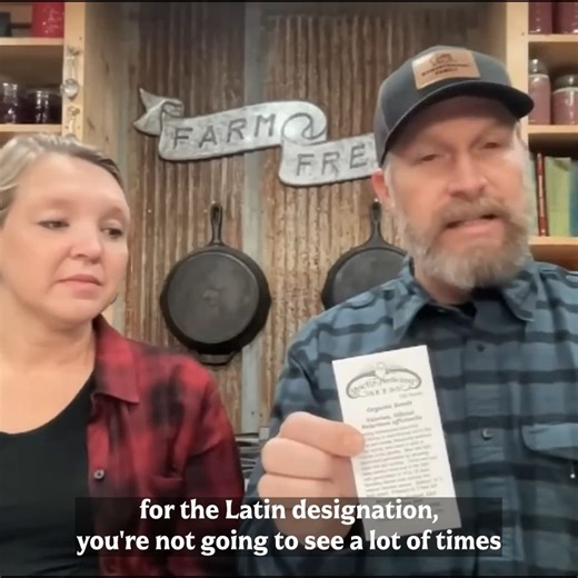 Reading & Understanding Your Seed Packets! (Seed Details You Need to Know BEFORE you Plant! Pt.2) | Homesteading Family