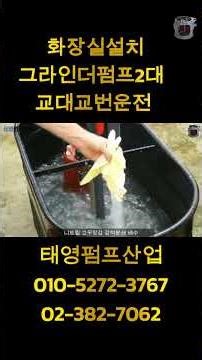 화장실펌프 그라인더 2펌프 1HP 15M 175L 220V 자동 정화조펌프 청바지 지저귀 생리대 분쇄배수