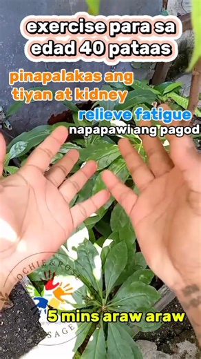 hand exercise to relieve fatigue try it #accupressurepoints #exercise #Reflexology #massage #ochierosetv #healthtips #fblifestylechallenge | Ochie&Rose Tv