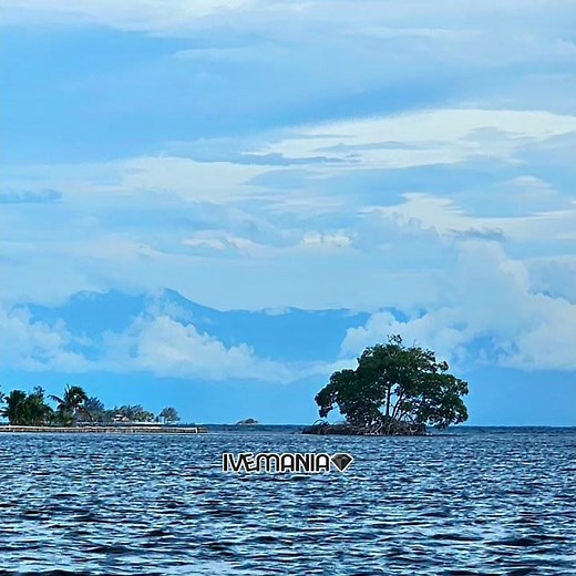 22 de noviembre de 2025