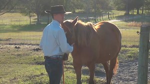 6.1K views · 10K reactions | For a limited time, you can get my...