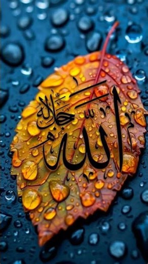 Allha🤲Ka Pyra🥰Naam