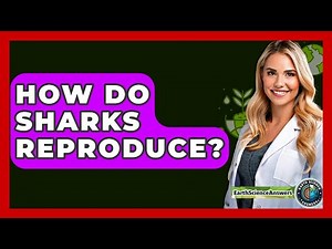 How Do Sharks Reproduce? - Earth Science Answers