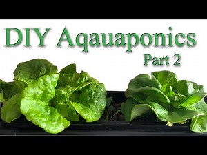 DIY AQUAPONICS System for 10 Gallon Fish Tank- Part 2